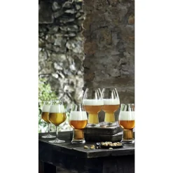 Sale Luigi Bormioli Birrateque Ølglas tester 2 stk. Klar