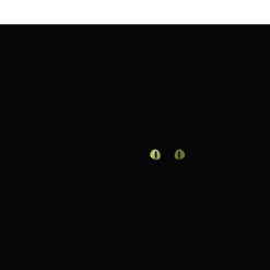 Best Hoptimist Cat Black