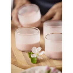 Blomsterbergs Dessertglas 4 stk. Transparent