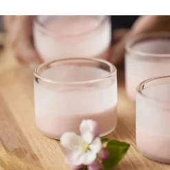 Blomsterbergs Dessertglas 4 stk. Transparent