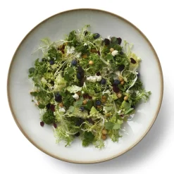 Hot BITZ Gastro Fad Creme/creme