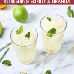 Outlet Magimix Gelato Expert Ismaskine 140 watt Stål