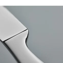 Online Gense Indra Bordkniv Blankt stål