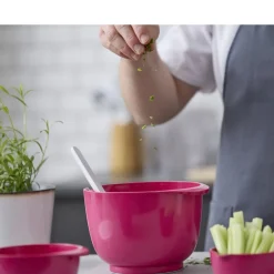 Discount Rosti NEW Margrethe Røreskål Beetroot