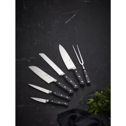 Lion Sabatier International Pluton Knivsæt 6 dele Stål/Sort