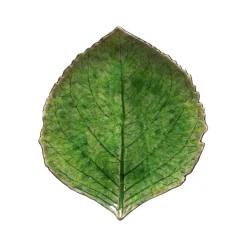 Sale Costa Nova Riviera Asiet hortensiablad Gr&oslash;n/Gr&oslash;n