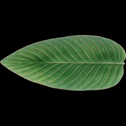 Costa Nova Riviera Serveringsfad aflangt blad Gr&oslash;n/Gr&oslash;n