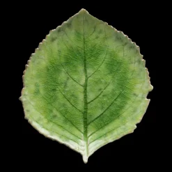 New Costa Nova Riviera Tallerken hortensia Gr&oslash;n/Gr&oslash;n