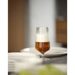 Hot Zone Denmark Rocks Ølglas 2 stk. Klar