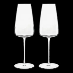 New Luigi Bormioli Talismano Champagneglas 2 stk. Klar
